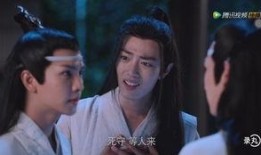 蓝氏叔父爆料视频大全在线观看,揭秘幕后真相，带你走进神秘世界