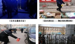 石家庄爆料逆行事件最新